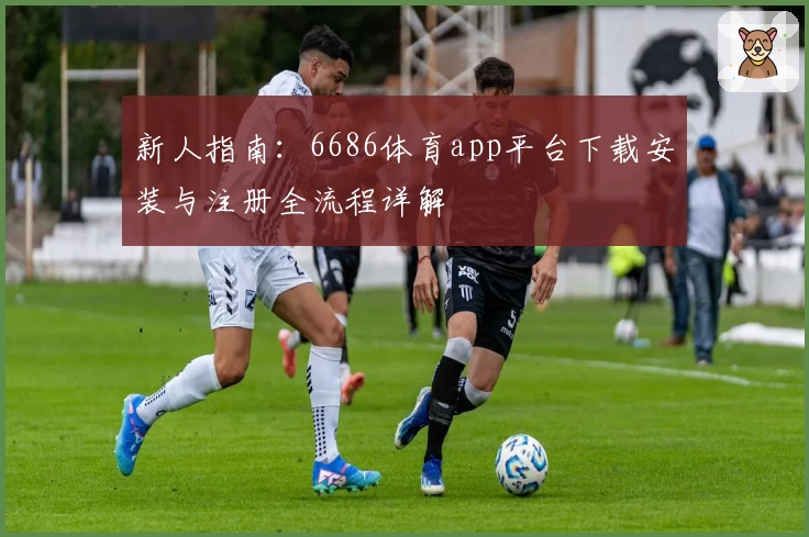 新人指南：6686体育app平台下载安装与注册全流程详解